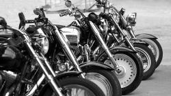 Motorcycles lined up